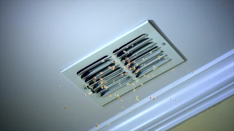 Best Air Duct Cleaning Near Me  in Svis, IL