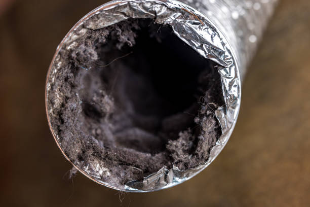 Best Affordable Duct Cleaning Services  in Svis, IL