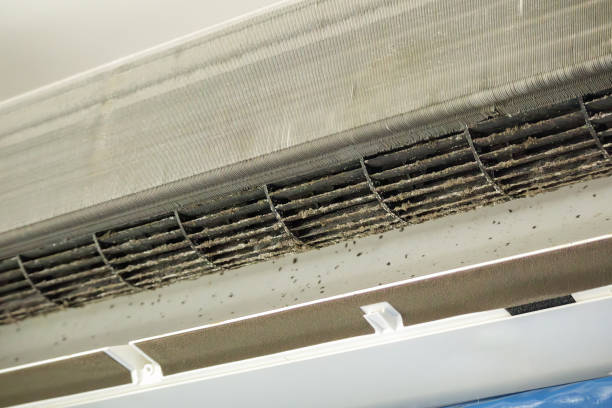 Best Dryer Vent Cleaning Services  in Svis, IL